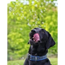 Pet Qwerks Incredibubbles For Dogs 14 Pet Qwerks Incredibubbles For Dogs -Pet Dog Toys 102318 PT4. AC SS1800 V1589901520