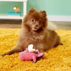 GoDog Just For Me Chew Guard Flying Pig Squeaky Plush Dog Toy -Pet Dog Toys 102561 PT3. AC SS1800 V1530914179