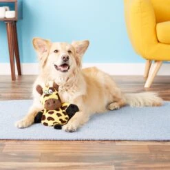 Hear Doggy Silent Squeaker Chew Guard Flattie Giraffe Plush Dog Toy -Pet Dog Toys 102599 PT3. AC SS1800 V1594761075