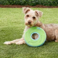 Chuckit! Zipflight Disc Dog Toy, Color Varies & Chuckit! Paraflight Dog Toy 14 Chuckit! Zipflight Disc Dog Toy, Color Varies & Chuckit! Paraflight Dog Toy -Pet Dog Toys 1030662 PT4. AC SS1800 V1702598511