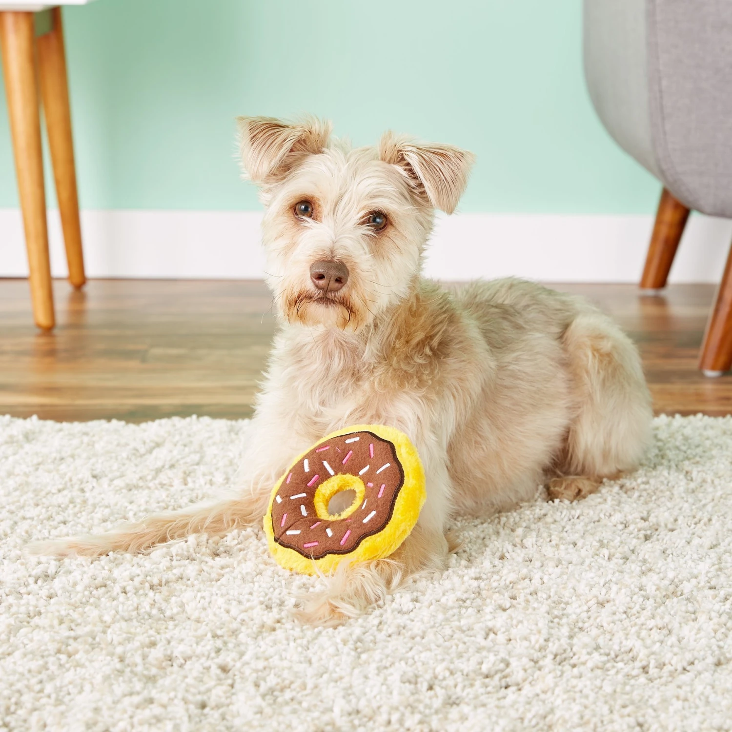 ZippyPaws Mini Donutz Squeaky Plush No Stuffing Dog Toy 5 ZippyPaws Mini Donutz Squeaky Plush No Stuffing Dog Toy - Image 3