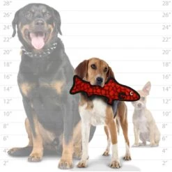 Tuffy's Ocean Creatures Trout Squeaky Plush Dog Toy -Pet Dog Toys 104653 PT4. AC SS1800 V1589561548