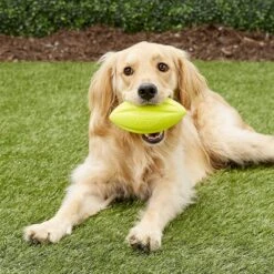 Nerf Dog Squeaker Football Dog Toy -Pet Dog Toys 106708 PT1. AC SS1800 V1545242824