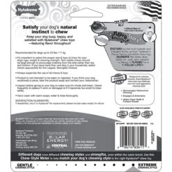 Nylabone DuraChew Flavor Frenzy Triple Pack BBQ Chicken, Corn On The Cob & Ice Cream Sundae Flavored Dog Chew Toy -Pet Dog Toys 110417 PT6. AC SS1800 V1644972136