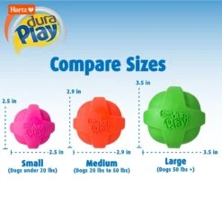 Hartz Dura Play Ball Squeaky Latex Dog Toy, Color Varies 13 Hartz Dura Play Ball Squeaky Latex Dog Toy, Color Varies -Pet Dog Toys 113807 PT2. AC SS1800 V1660340091