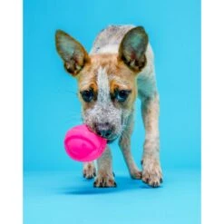 Hartz Dura Play Ball Squeaky Latex Dog Toy, Color Varies 14 Hartz Dura Play Ball Squeaky Latex Dog Toy, Color Varies -Pet Dog Toys 113807 PT3. AC SS1800 V1660339245