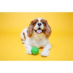 Hartz Dura Play Ball Squeaky Latex Dog Toy, Color Varies 15 Hartz Dura Play Ball Squeaky Latex Dog Toy, Color Varies -Pet Dog Toys 113807 PT4. AC SS1800 V1660341054