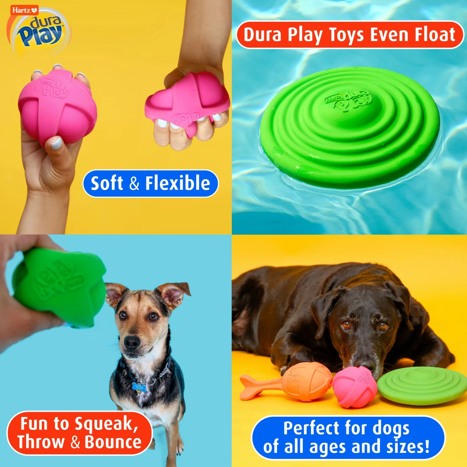 Hartz Dura Play Ball Squeaky Latex Dog Toy, Color Varies 8 Hartz Dura Play Ball Squeaky Latex Dog Toy, Color Varies - Image 6