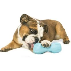 West Paw Qwizl Tough Treat Dispensing Dog Chew Toy -Pet Dog Toys 113983 PT3. AC SS1800 V1521563976