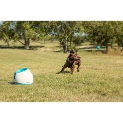IFetch Too Automatic Ball Launcher Dog Toy -Pet Dog Toys 115173 PT5. AC SS1800 V1490133473