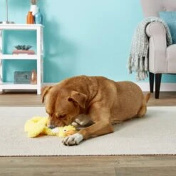 Doggles Plush Bottle Duck Dog Toy -Pet Dog Toys 118762 PT2. AC SS1800 V1554126457
