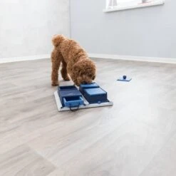 TRIXIE Activity Poker Box Activity Strategy Game Dog Toy, Level 2 -Pet Dog Toys 118931 PT2. AC SS1800 V1686328989