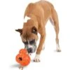 PetSafe Busy Buddy Barnacle Treat Dispenser Dog Toy