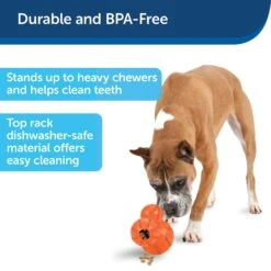 PetSafe Busy Buddy Barnacle Treat Dispenser Dog Toy 16 PetSafe Busy Buddy Barnacle Treat Dispenser Dog Toy -Pet Dog Toys 121351 PT5. AC SS1800 V1599830754