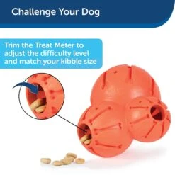 PetSafe Busy Buddy Barnacle Treat Dispenser Dog Toy 18 PetSafe Busy Buddy Barnacle Treat Dispenser Dog Toy -Pet Dog Toys 121351 PT7. AC SS1800 V1599830757
