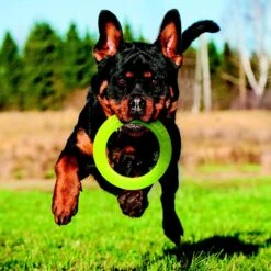 Nerf Dog Super Soaker Retriever Toss & Tug Ring Dog Toy 9 Nerf Dog Super Soaker Retriever Toss & Tug Ring Dog Toy -Pet Dog Toys 121842 PT3. AC SS1800 V1493316298