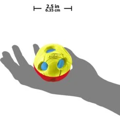 Nerf Dog Light Up Bash Ball Dog Toy -Pet Dog Toys 121862 PT2. AC SS1800 V1493316682