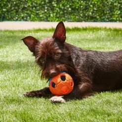 Nerf Dog Light Up Bash Ball Dog Toy, Medium -Pet Dog Toys 121864 PT5. AC SS1800 V1531558325