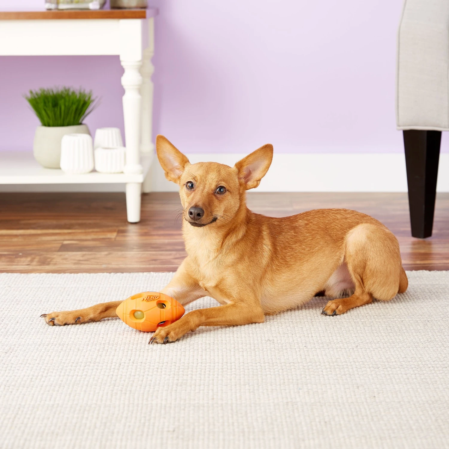 Nerf Dog Light Up Bash Football Dog Toy, Small 7 Nerf Dog Light Up Bash Football Dog Toy, Small - Image 5