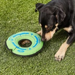 Nerf Dog Tuff Tug Cyclone Ring Dog Toy -Pet Dog Toys 121915 PT4. AC SS1800 V1530921436