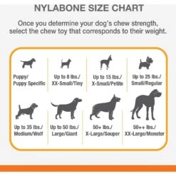 Nylabone FlexiChew Moderate Dog ChewToys -Pet Dog Toys 121944 PT3. AC SS1800 V1647910622
