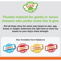 Nylabone FlexiChew Moderate Dog ChewToys -Pet Dog Toys 121944 PT4. AC SS1800 V1647904600