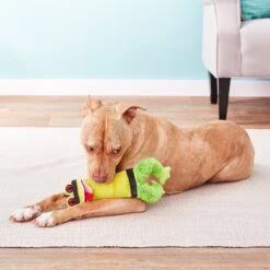 Hyper Pet Firehose Friends Frog Dog Toy -Pet Dog Toys 122088 PT2. AC SS1800 V1530548878