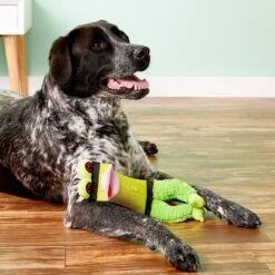 Hyper Pet Firehose Friends Frog Dog Toy -Pet Dog Toys 122088 PT3. AC SS1800 V1530548993