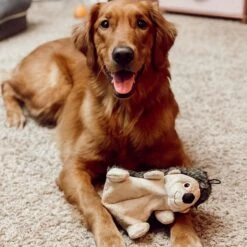 Snuggle Puppy Tender Tuff Hedgehog Squeaky Plush Dog Toy -Pet Dog Toys 124236 PT4. AC SS1800 V1667518161