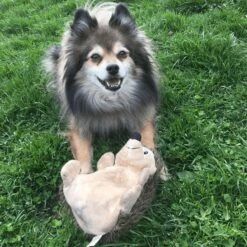 Snuggle Puppy Tender Tuff Hedgehog Squeaky Plush Dog Toy -Pet Dog Toys 124236 PT5. AC SS1800 V1667518623