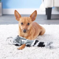 Ethical Pet Mini Skinneeez Tugs Raccoon Stuffing-Free Squeaky Plush Dog Toy -Pet Dog Toys 129145 PT7. AC SS1800 V1527092821