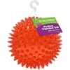 Gnawsome Squeaker Ball Dog Toy, Color Varies -Pet Dog Toys 129744 MAIN. AC SS1800 V1534452808