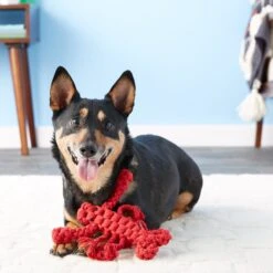 Jax And Bones Louie The Lobster Rope Dog Toy -Pet Dog Toys 133584 PT7. AC SS1800 V1523638240