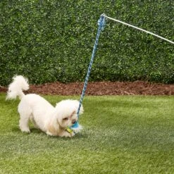 Pet Fit For Life Plush Wand Squeaky Dog Toy -Pet Dog Toys 140063 PT2. AC SS1800 V1589320911