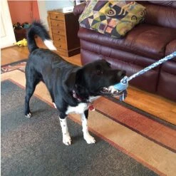 Pet Fit For Life Plush Wand Squeaky Dog Toy -Pet Dog Toys 140063 PT4. AC SS1800 V1589320914