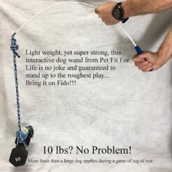 Pet Fit For Life Plush Wand Squeaky Dog Toy -Pet Dog Toys 140063 PT6. AC SS1800 V1589320916