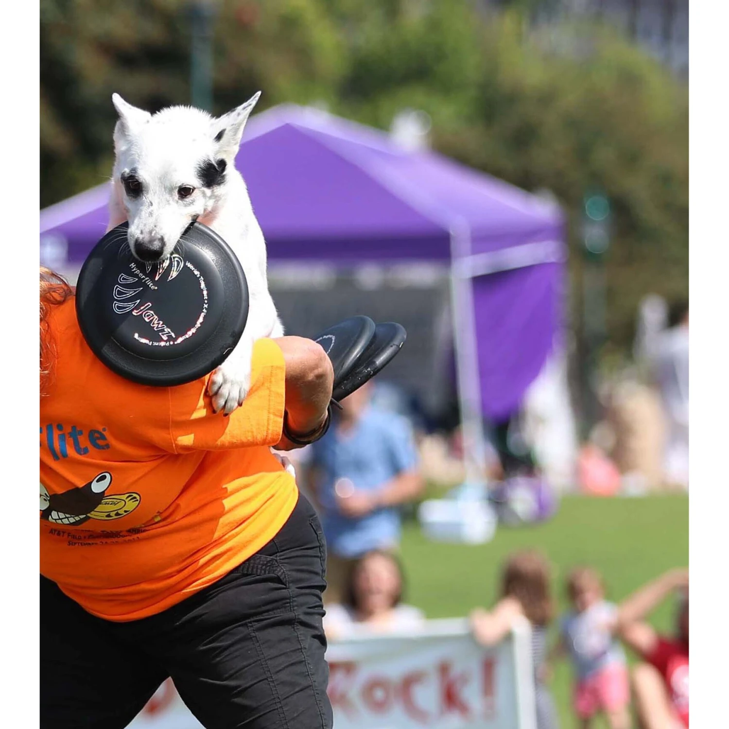 Hyperflite Jawz Disc 8 Hyperflite Jawz Disc - Image 6