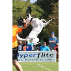 Hyperflite Jawz Disc 16 Hyperflite Jawz Disc -Pet Dog Toys 140803 PT6. AC SS1800 V1523642994