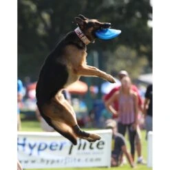 Hyperflite Jawz Disc 17 Hyperflite Jawz Disc -Pet Dog Toys 140803 PT7. AC SS1800 V1523643106