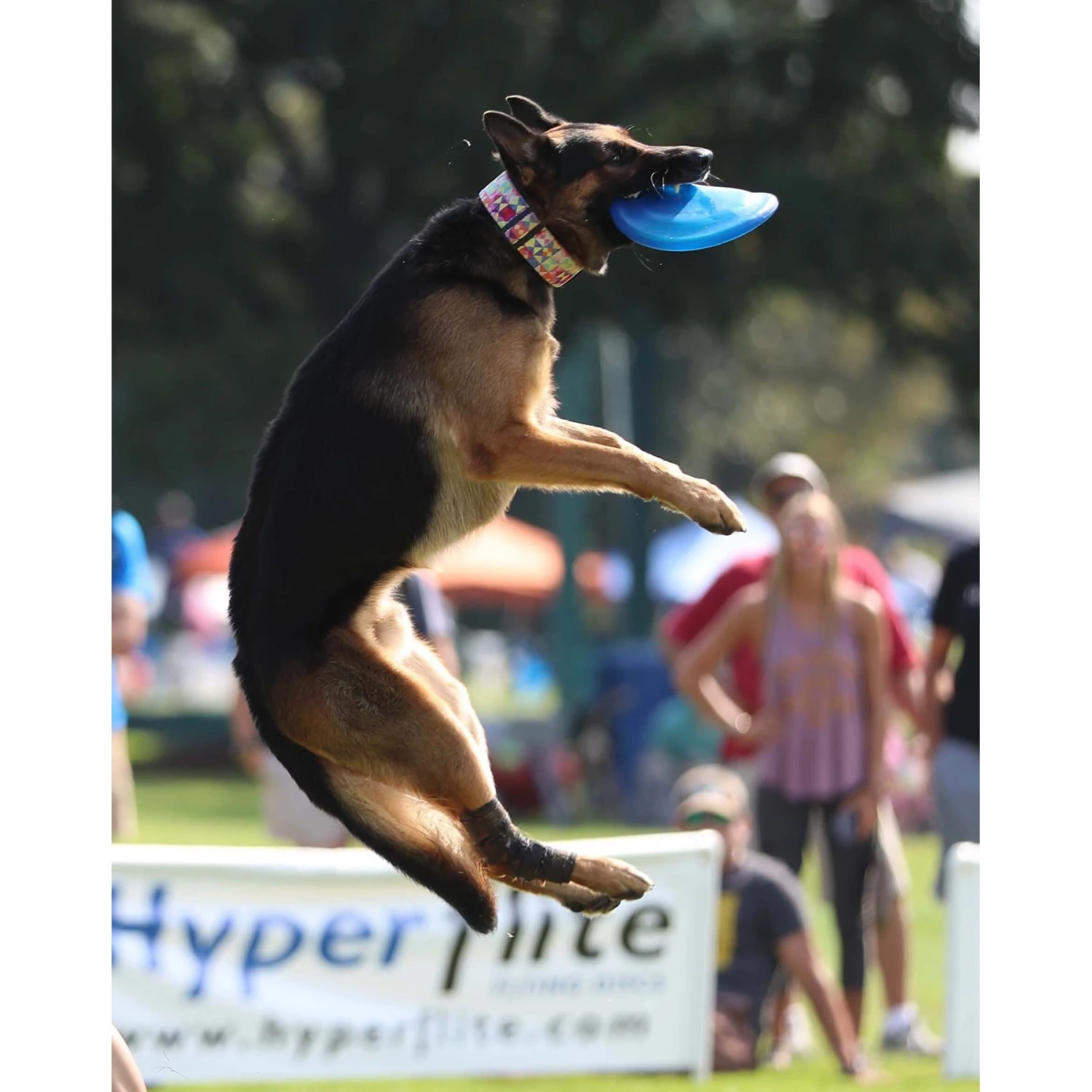 Hyperflite Jawz Disc 10 Hyperflite Jawz Disc - Image 8