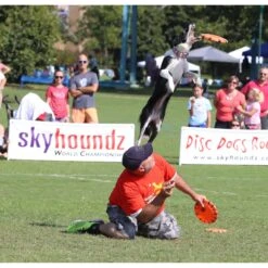 Hyperflite Jawz X-Comp Disc, Orange -Pet Dog Toys 140811 PT3. AC SS1800 V1518451942