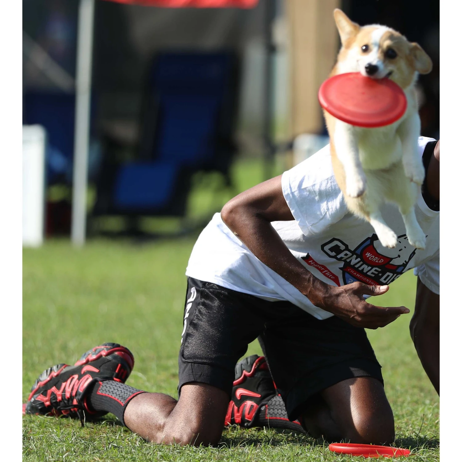 Hyperflite Jawz Pup Disc 6 Hyperflite Jawz Pup Disc - Image 4