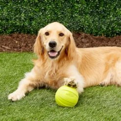 Nerf Dog Squeak Ball Dog Toy, Large -Pet Dog Toys 142888 PT1. AC SS1800 V1545251557