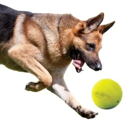 Nerf Dog Squeak Ball Dog Toy, Large -Pet Dog Toys 142888 PT3. AC SS1800 V1517611571