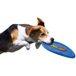Nerf Dog Nylon Flyer Dog Toy -Pet Dog Toys 142892 PT3. AC SS1800 V1517611837