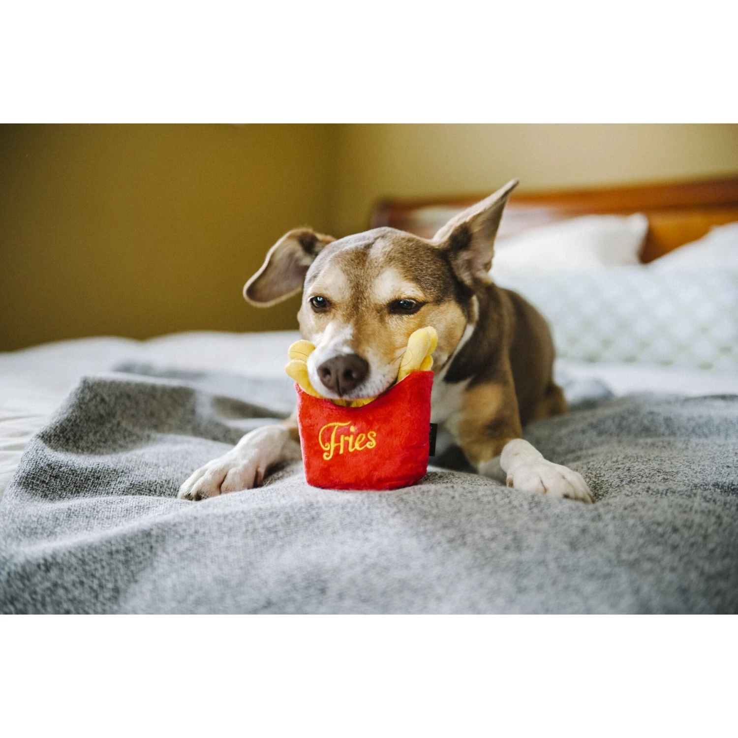 P.L.A.Y. Pet Lifestyle And You American Classic Food French Fries Squeaky Plush Dog Toy 6 P.L.A.Y. Pet Lifestyle And You American Classic Food French Fries Squeaky Plush Dog Toy - Image 4