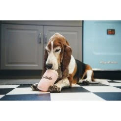 P.L.A.Y. Pet Lifestyle And You American Classic Food Milkshake Squeaky Plush Dog Toy -Pet Dog Toys 142907 PT3. AC SS1800 V1517863338