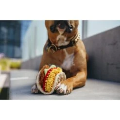 P.L.A.Y. Pet Lifestyle And You International Classic Food Taco Squeaky Plush Dog Toy -Pet Dog Toys 142913 PT3. AC SS1800 V1517863658