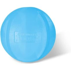 Planet Dog Orbee-Tuff Guru Treat Dispensing Dog Chew Toy