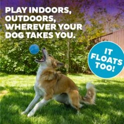 Planet Dog Orbee-Tuff Guru Treat Dispensing Dog Chew Toy -Pet Dog Toys 143948 PT4. AC SS1800 V1646782698